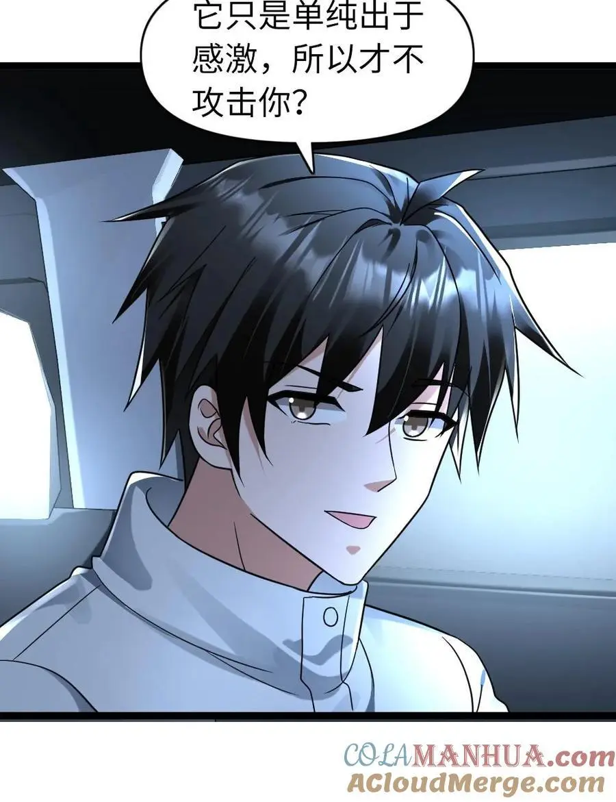 第160话 流浪猫——花花18