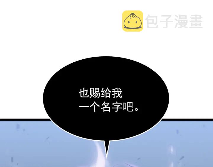 第147话 一拳接一拳243
