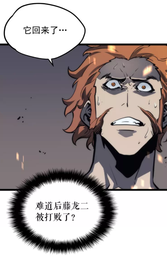 第101话 王与王75