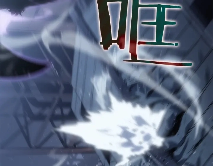 第147话 一拳接一拳66