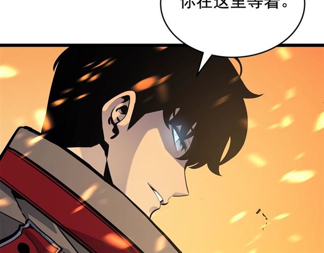 第84话 影子升级！60