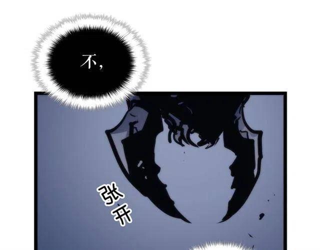 第103话 不知所措小蚂蚁248