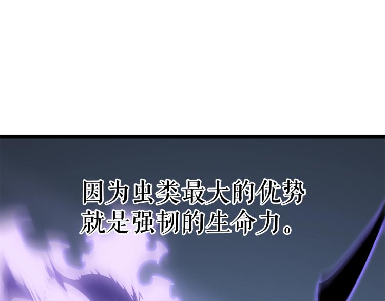 第167话 真正的战争229