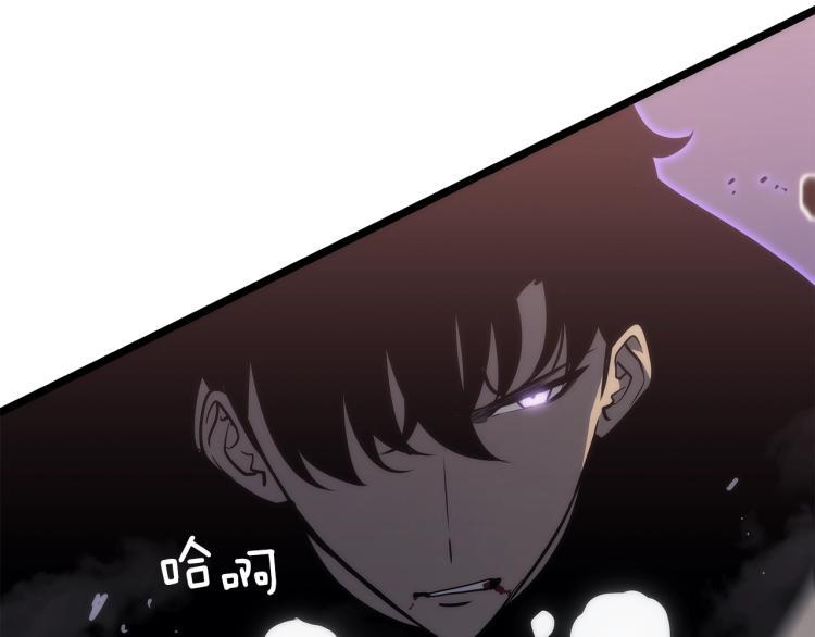 第160话 落幕225