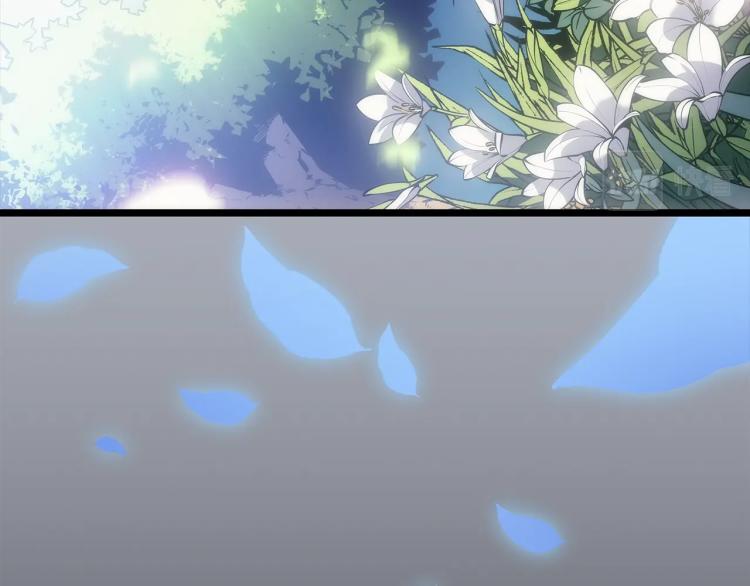 第162话 开始和结束64