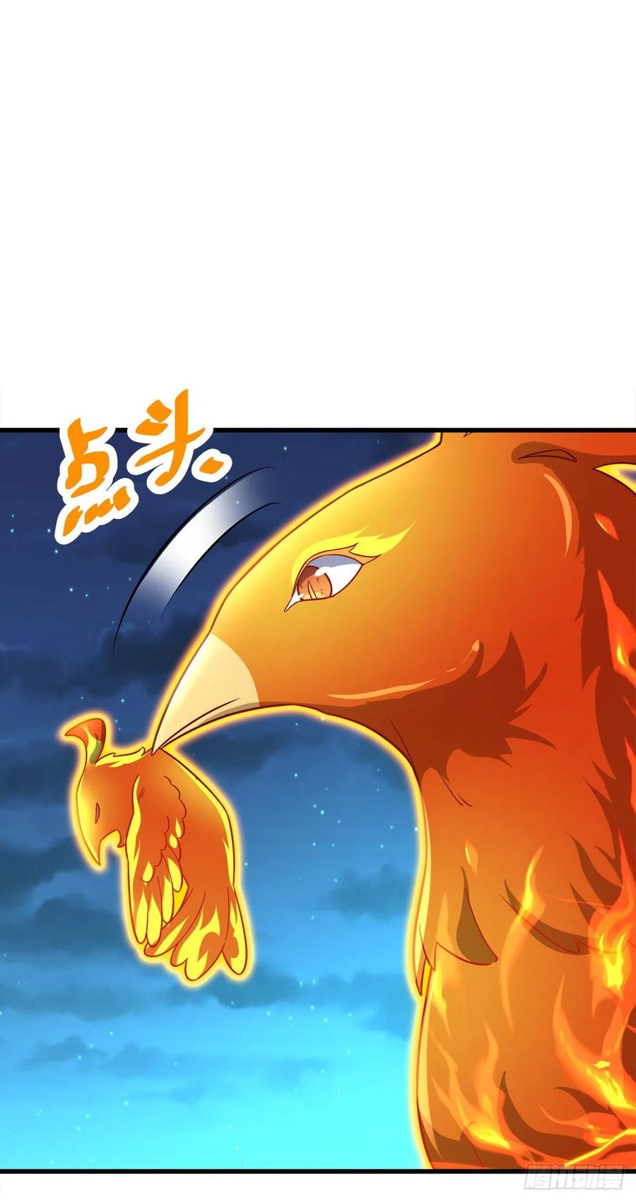 340 梧桐木43