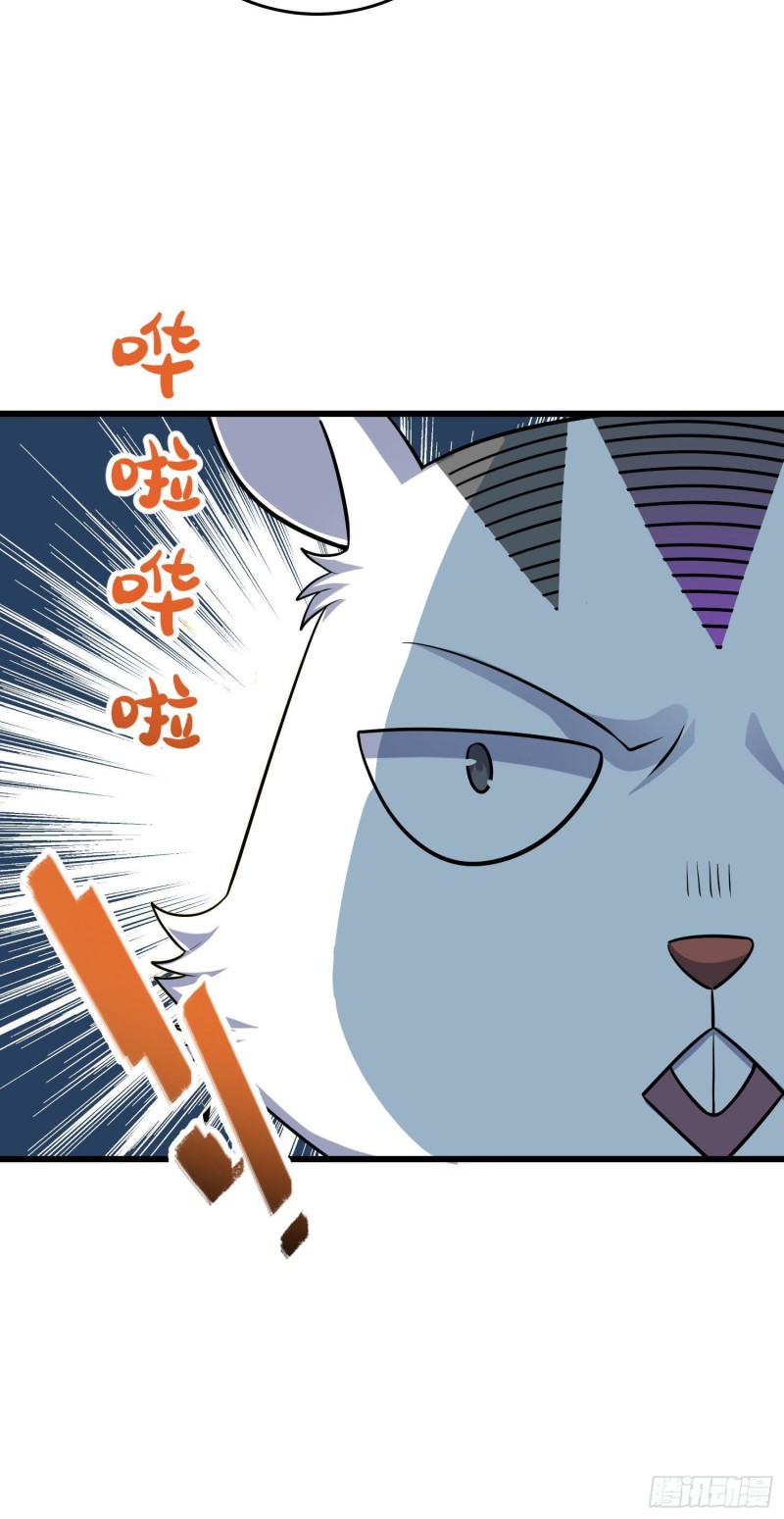 206 套路大师16