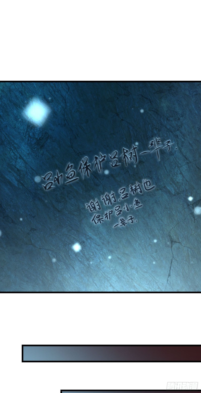 195 吕小鱼保护吕树40