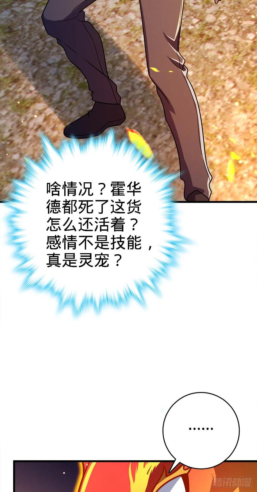 340 梧桐木35