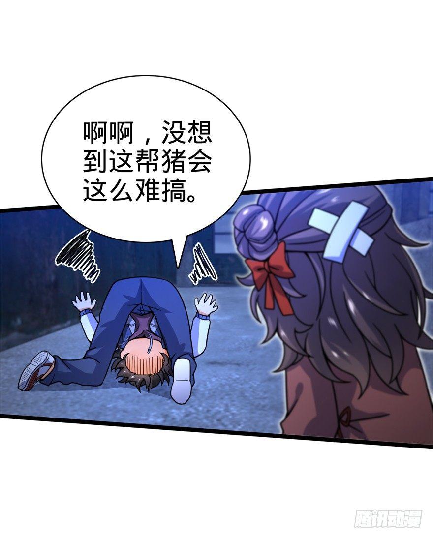 24 猪，快跟我回家~17