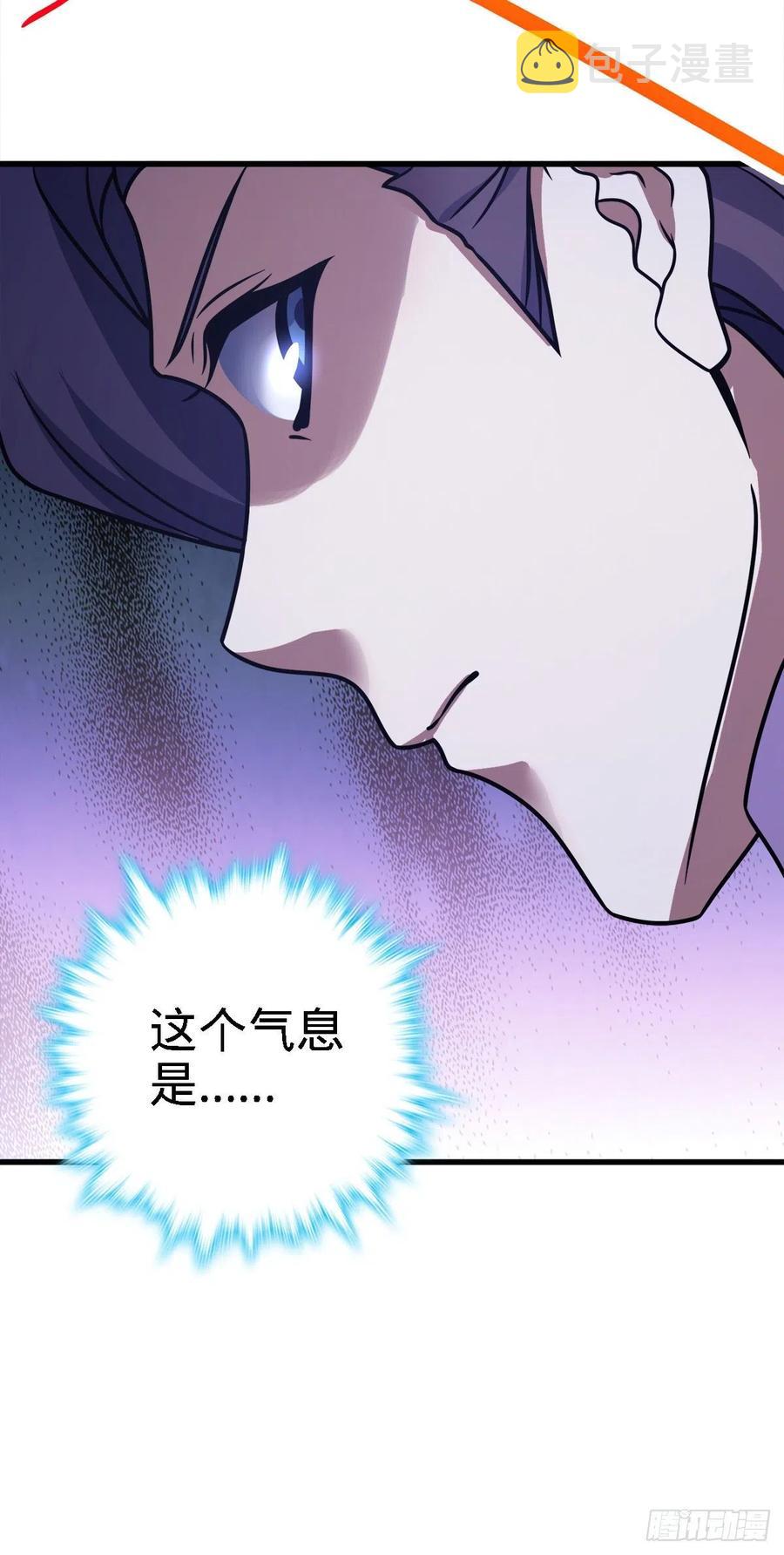 340 梧桐木31