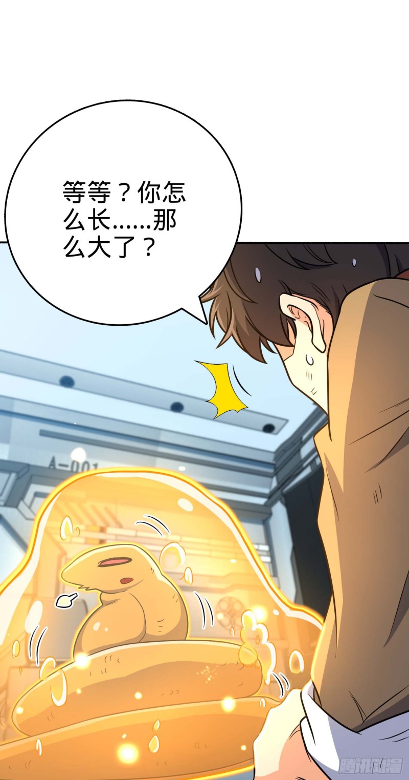 242 神集全面戒备15