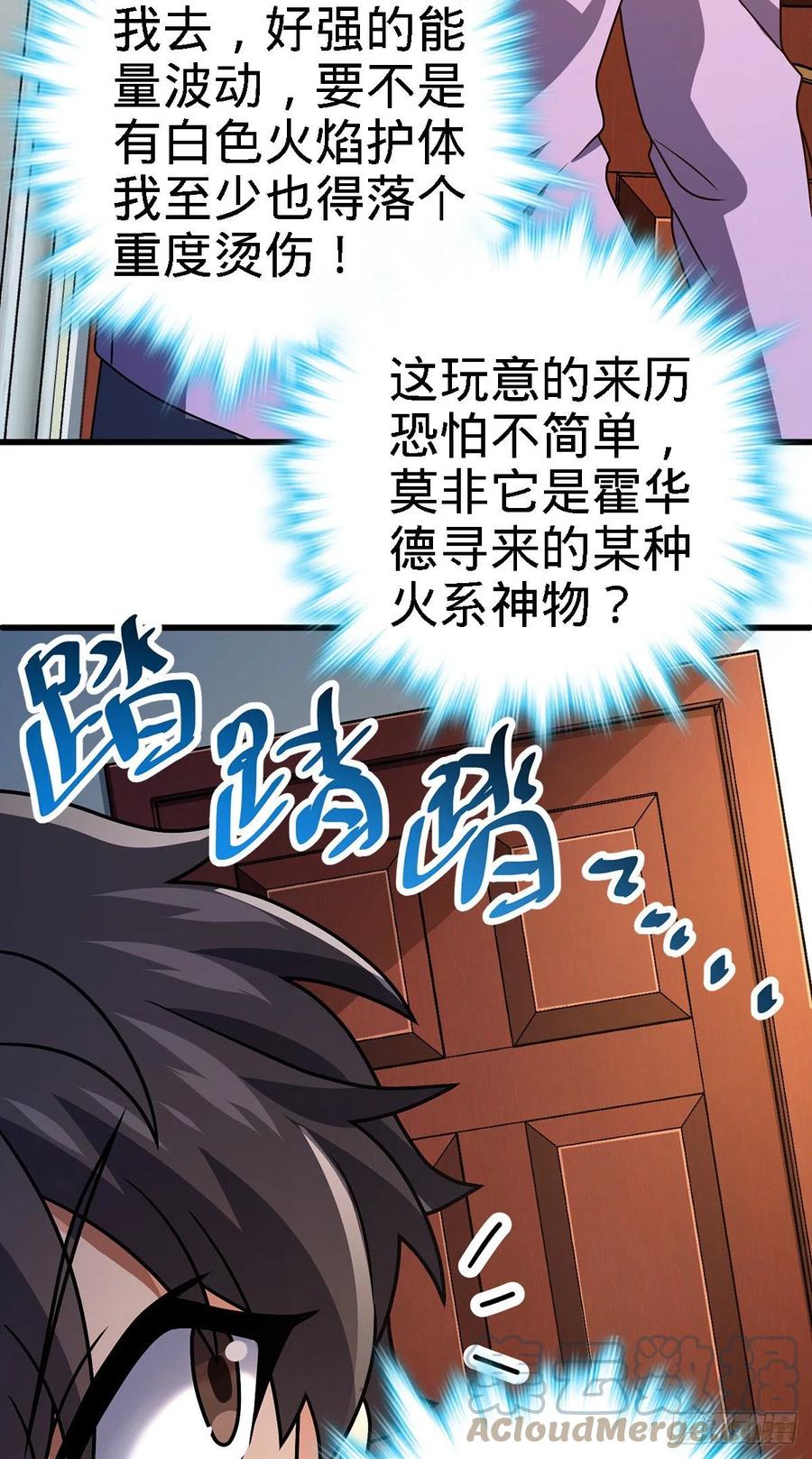 340 梧桐木18