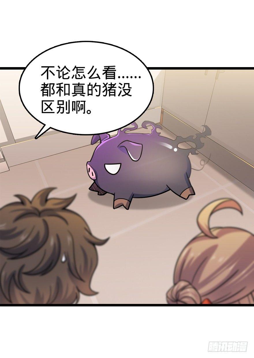 24 猪，快跟我回家~28