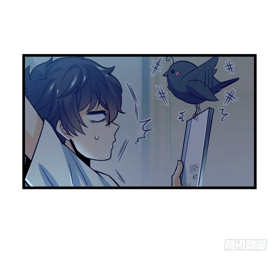 23 大胆麻雀哪里跑？35