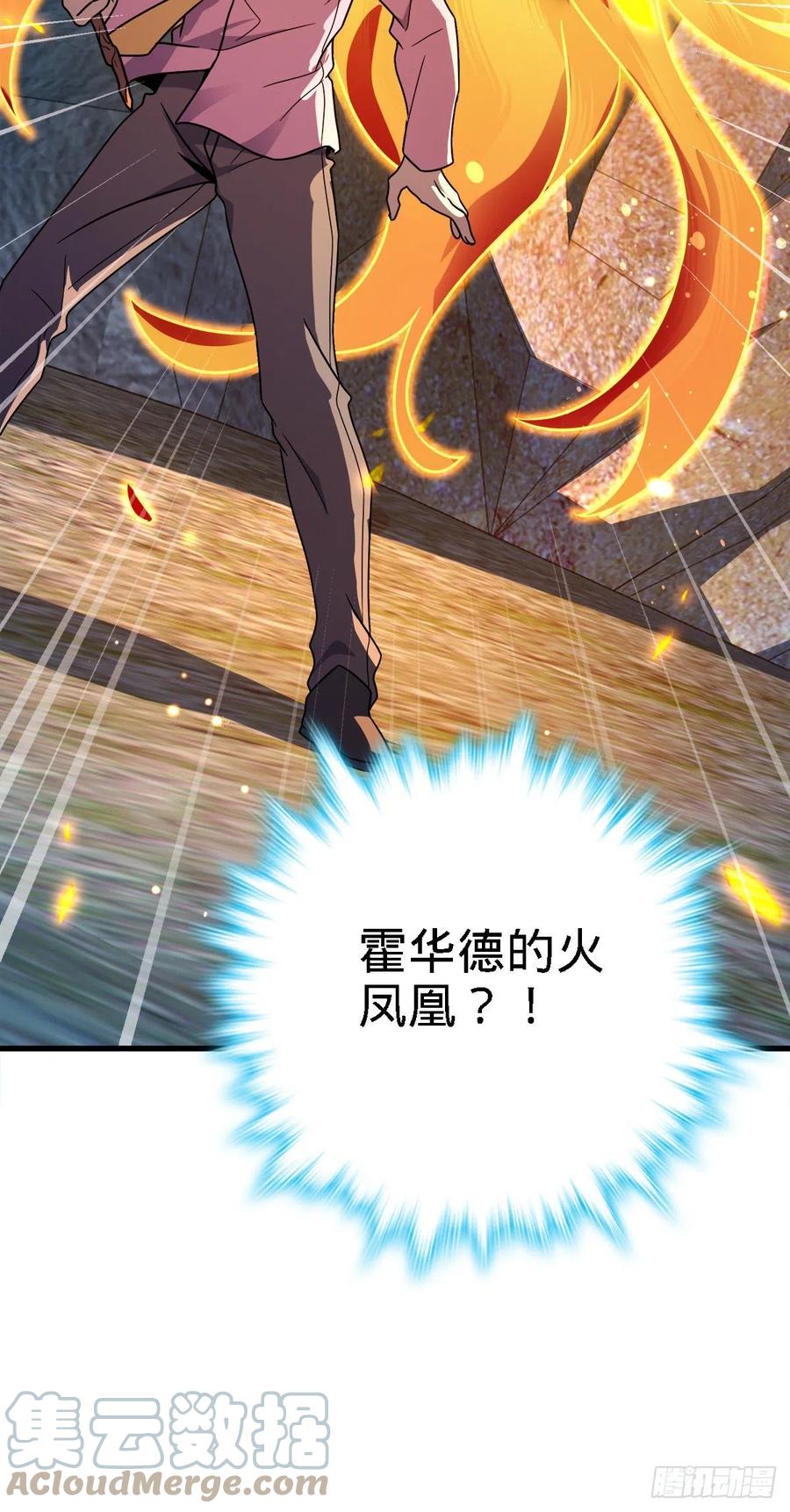 340 梧桐木33