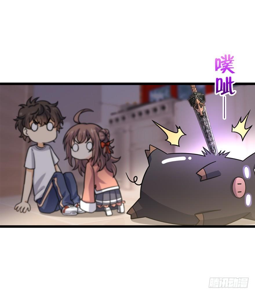 24 猪，快跟我回家~34