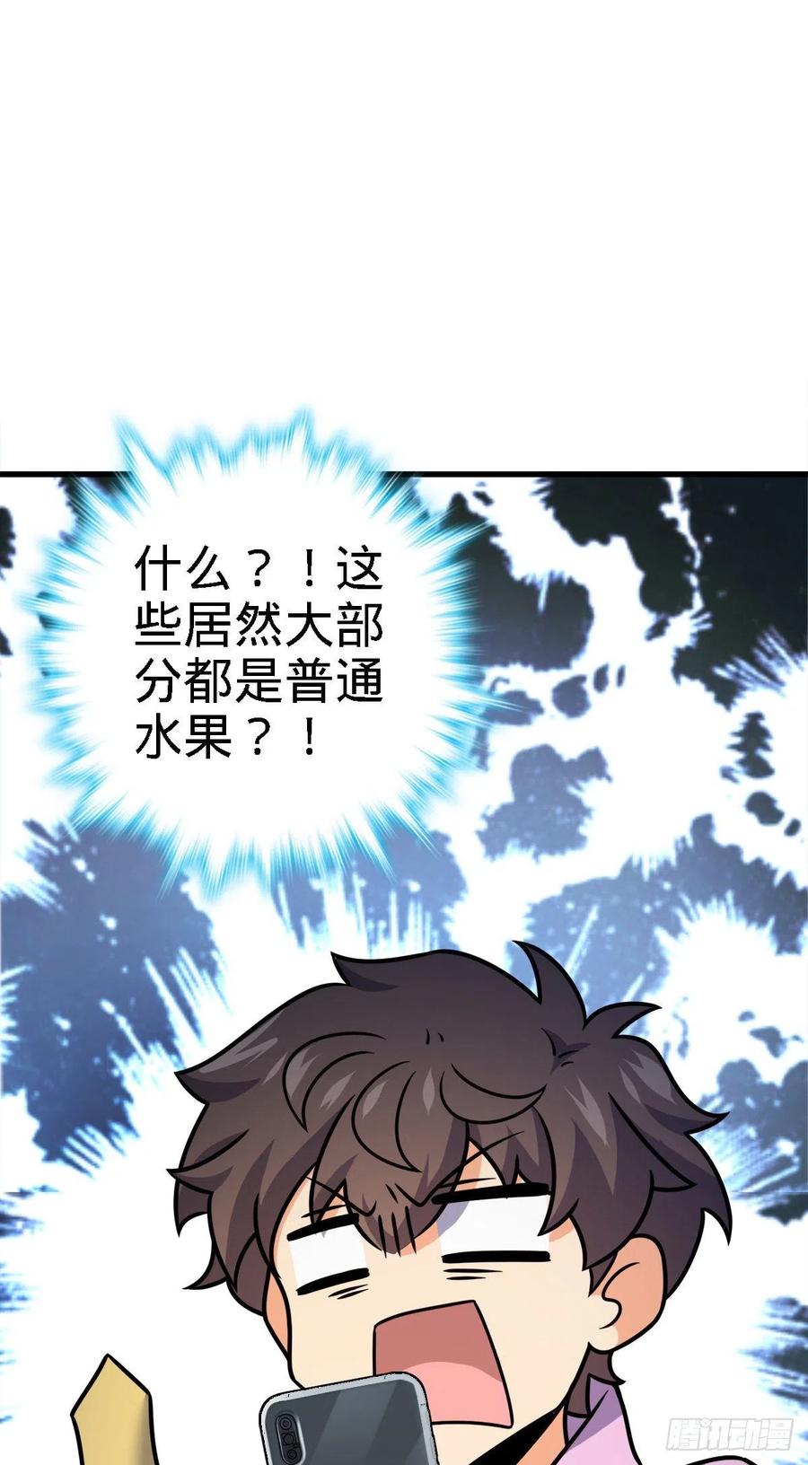 340 梧桐木7