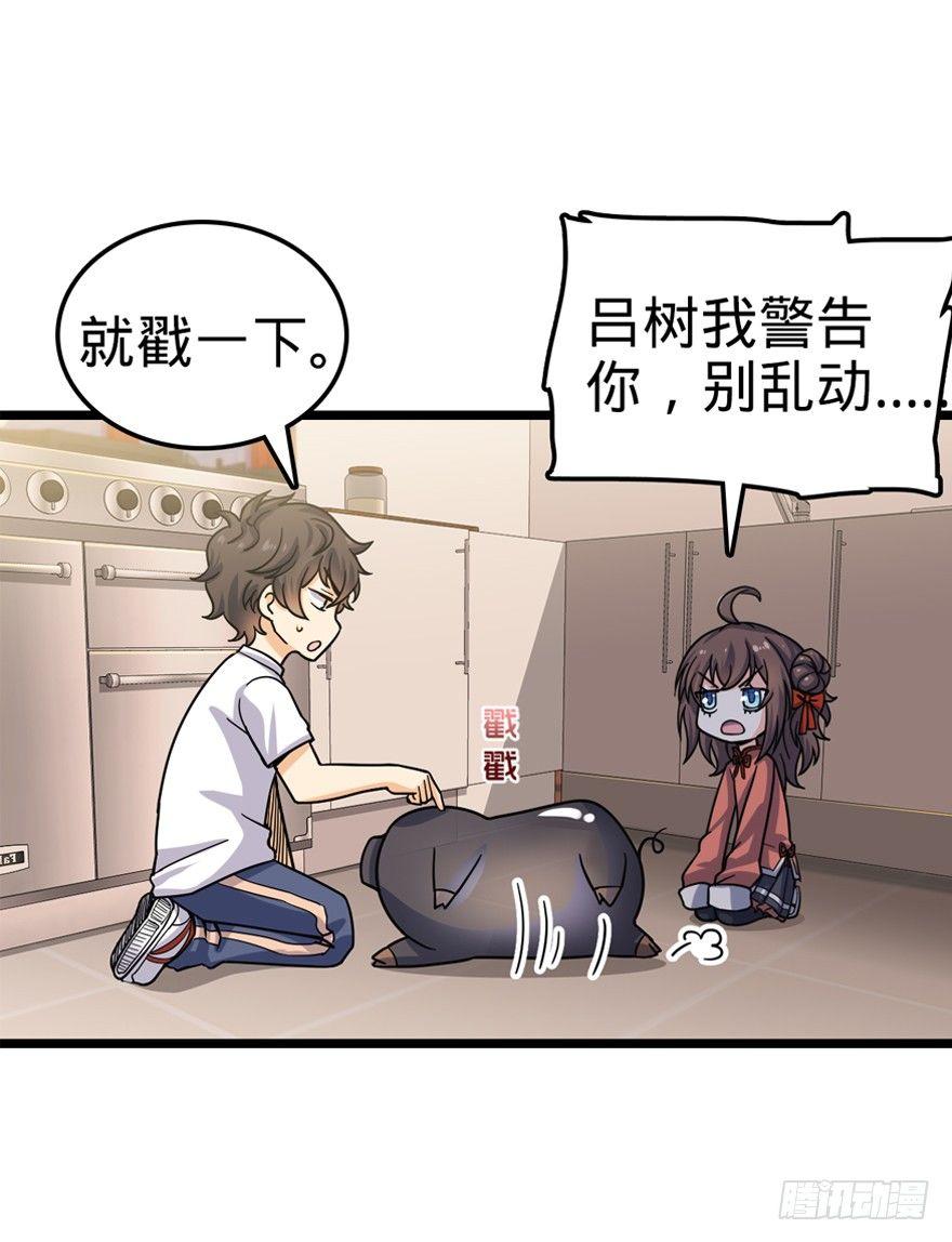 24 猪，快跟我回家~29