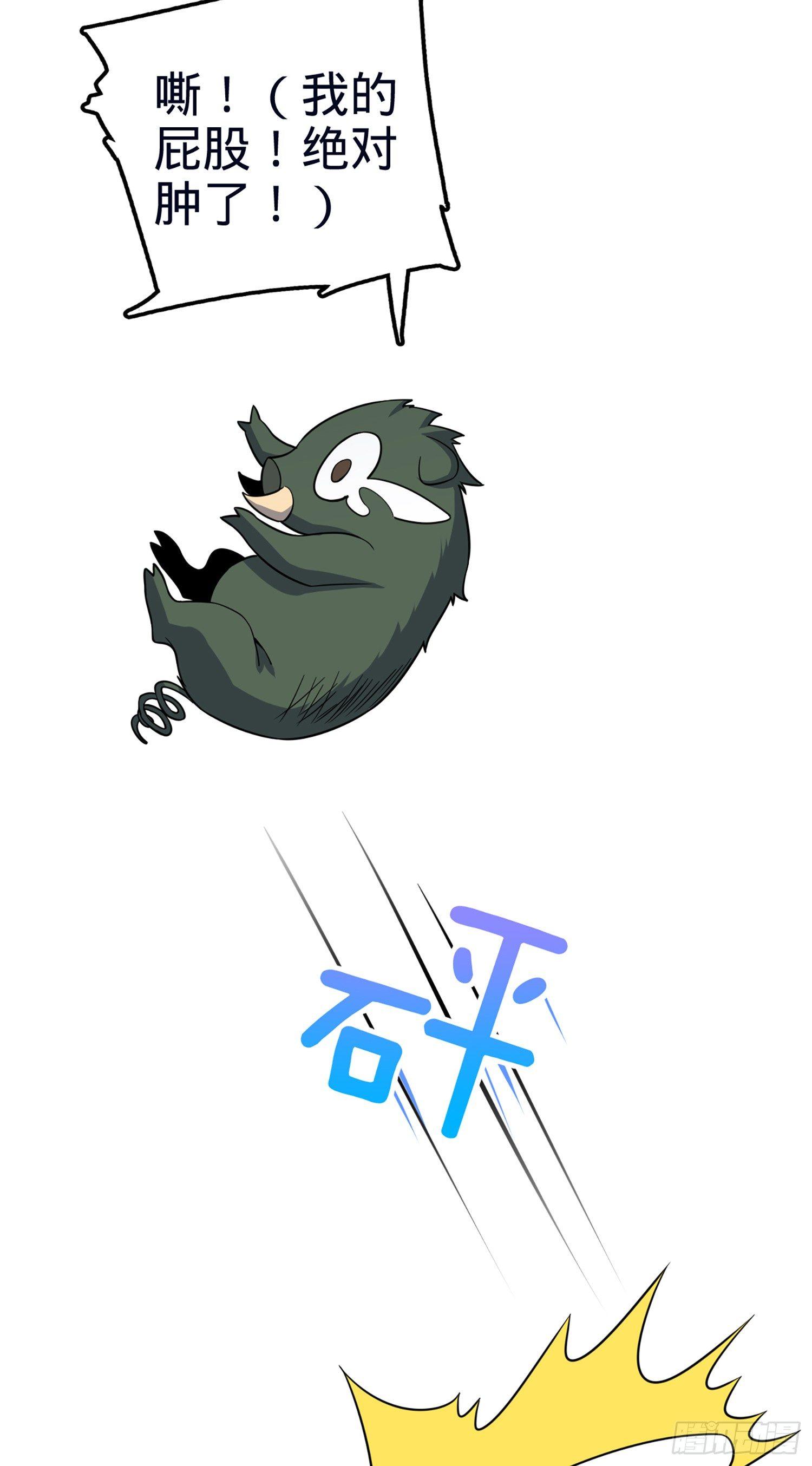 77 可怜的小动物们48
