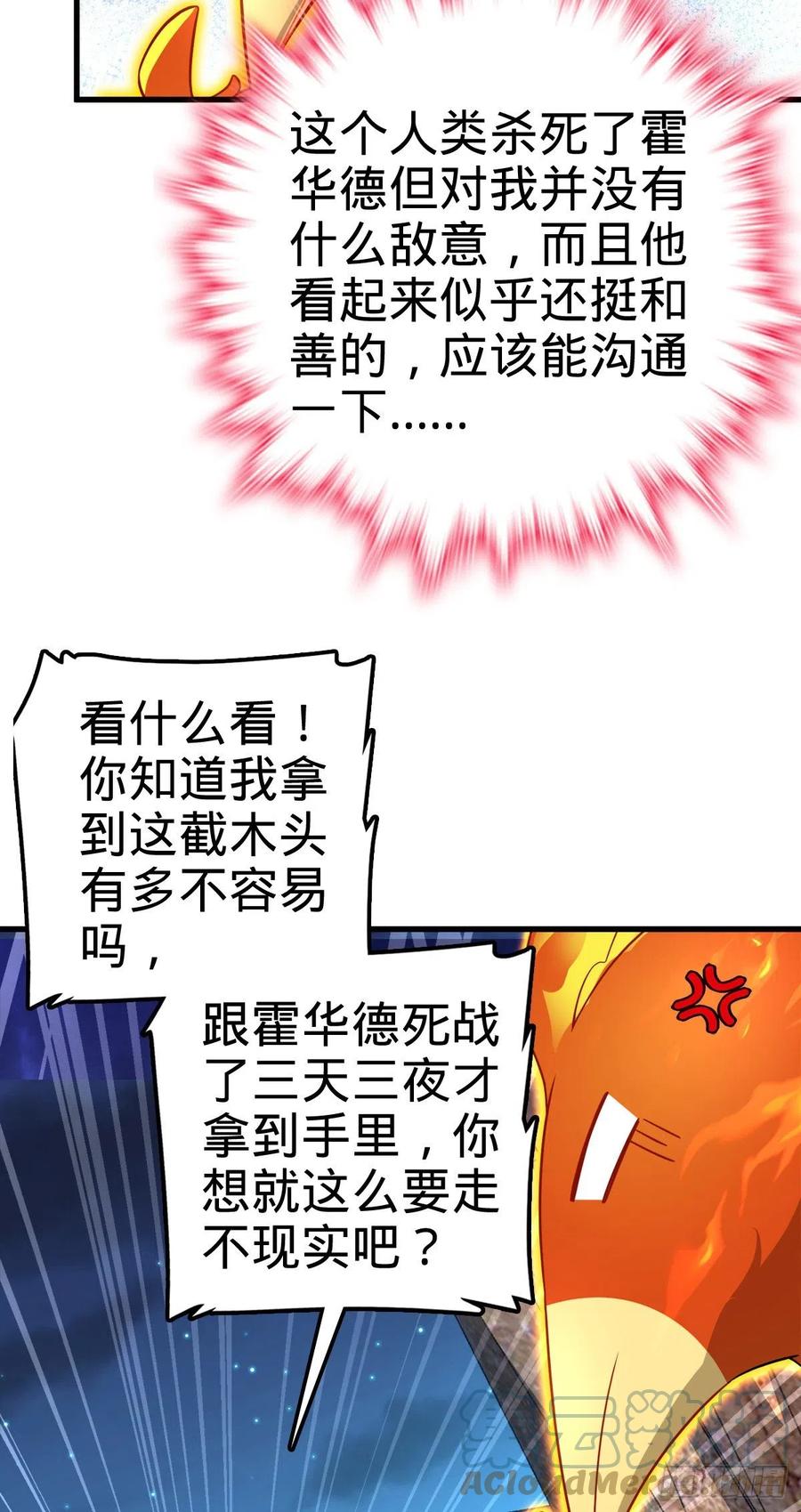 340 梧桐木45