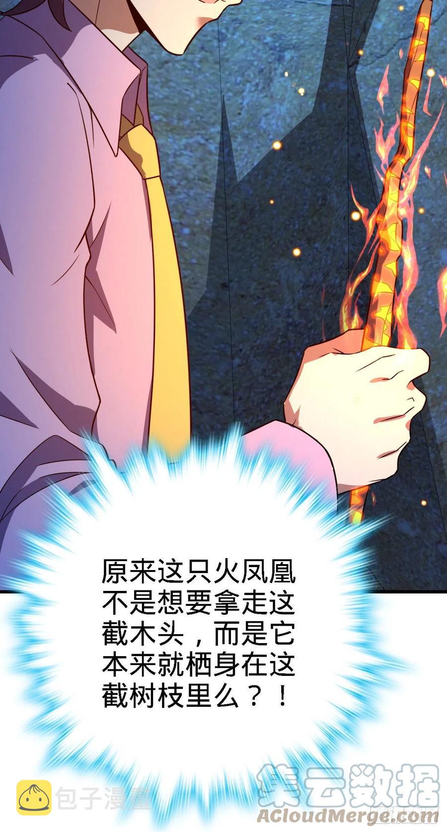 340 梧桐木63