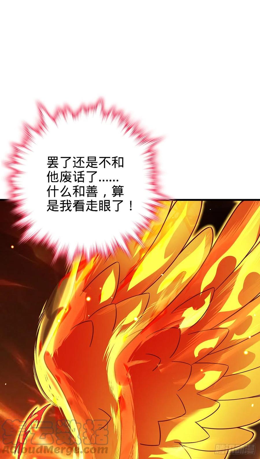 340 梧桐木54