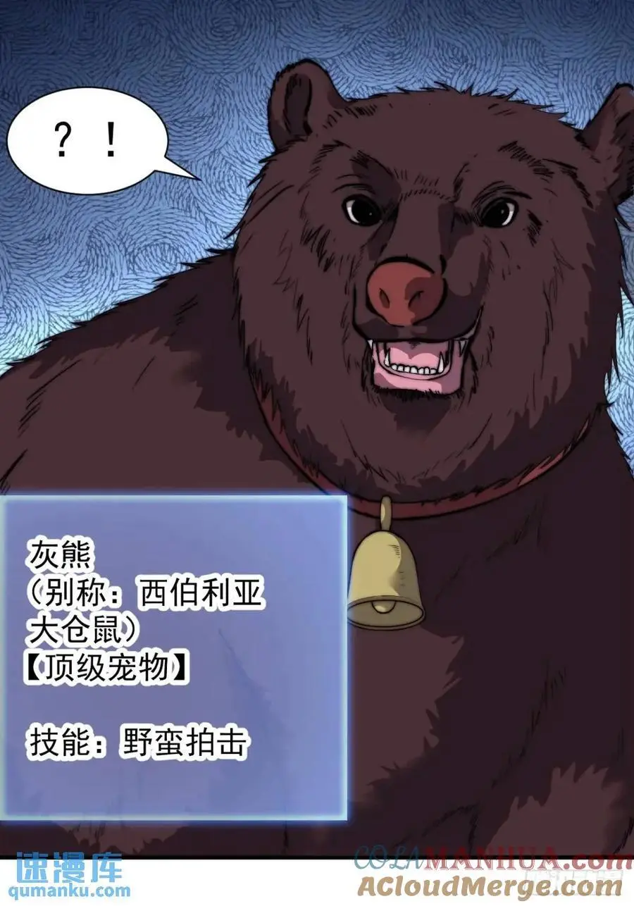 第七百话：西伯利亚大仓鼠42