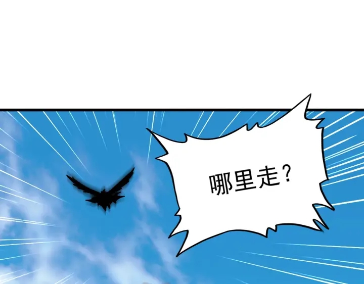 第187话 登场17