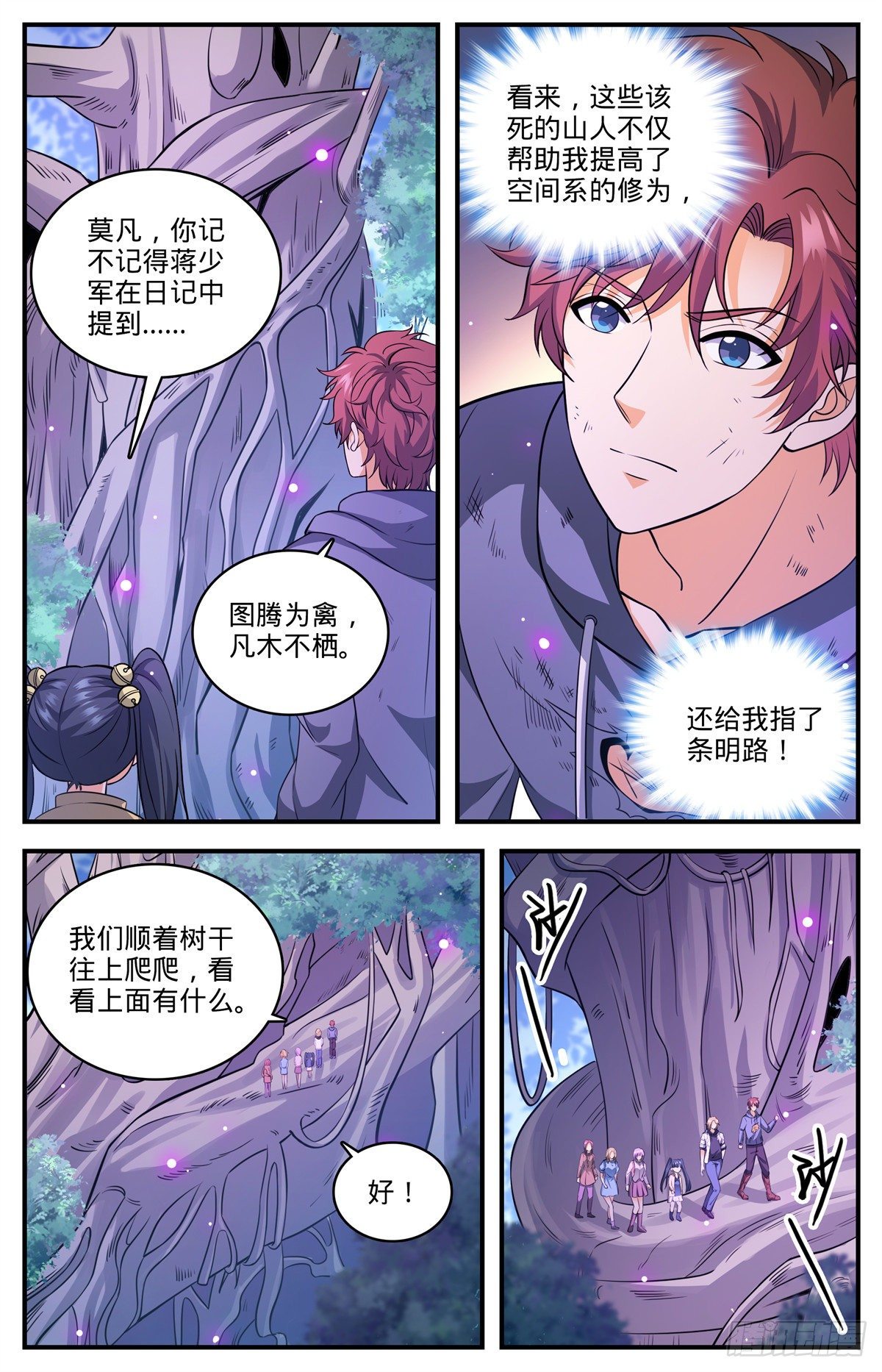 825 树冠的滋养1