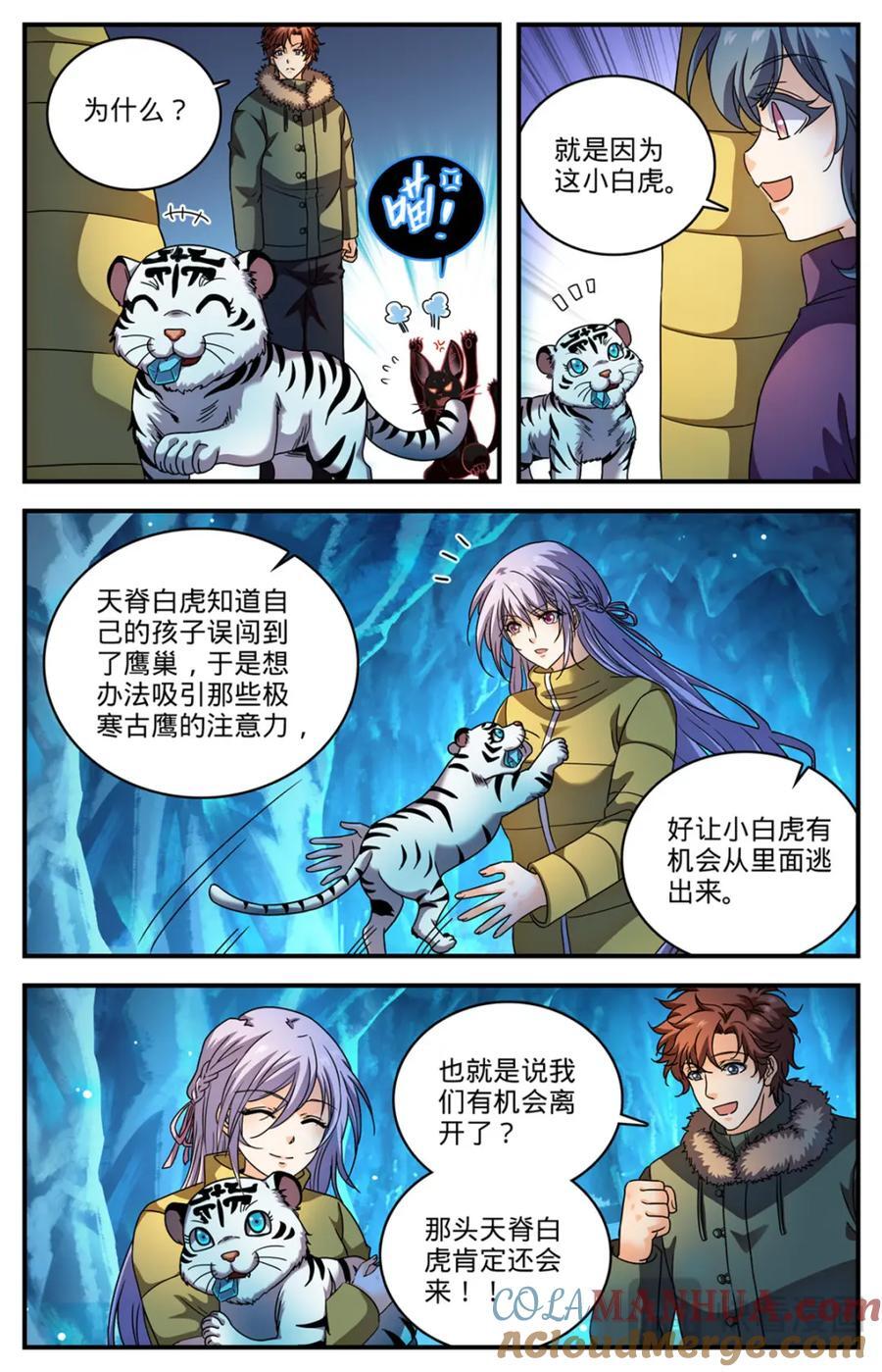 1077 小白虎12