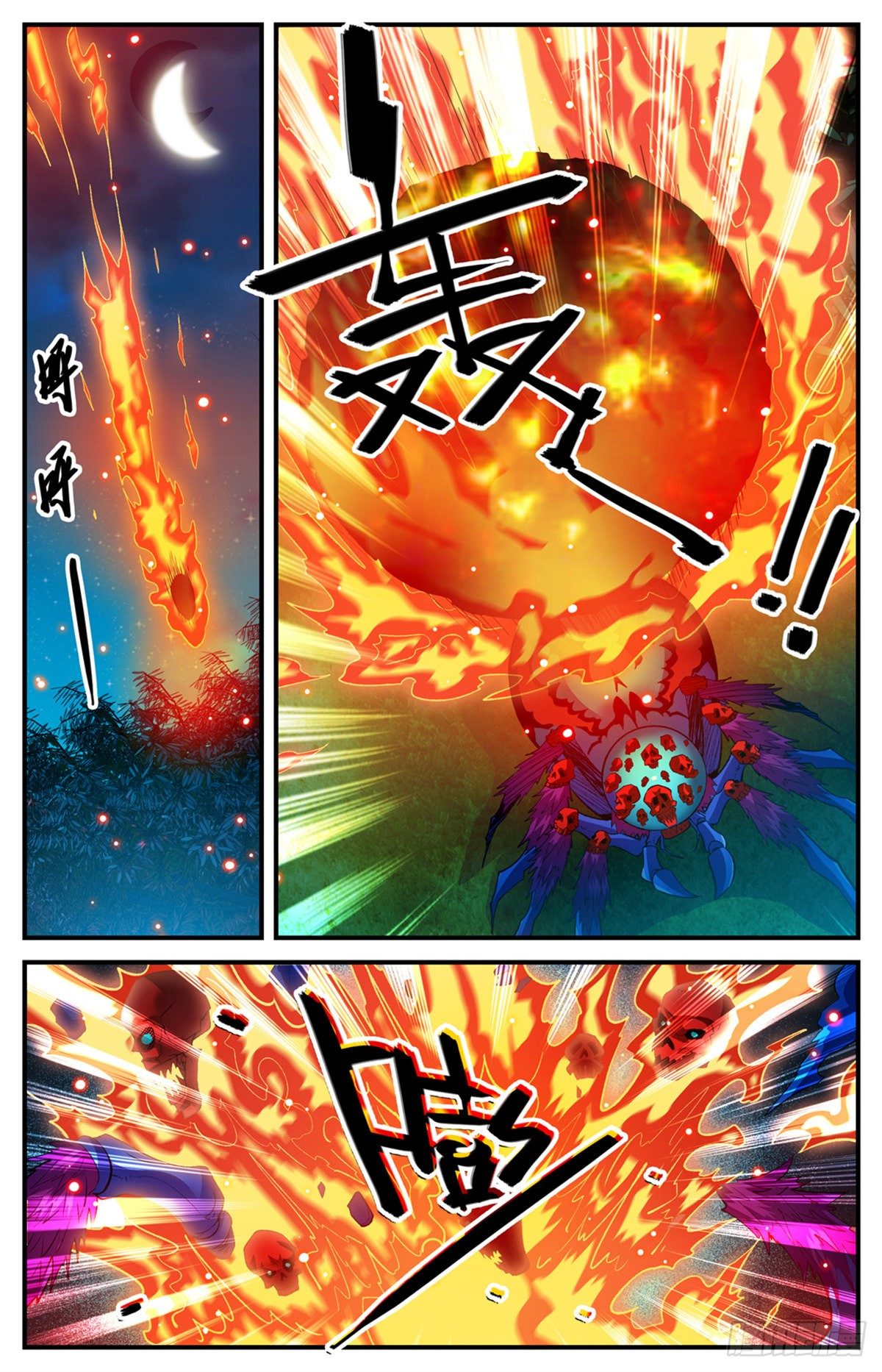 796 玛瑙头蛛5