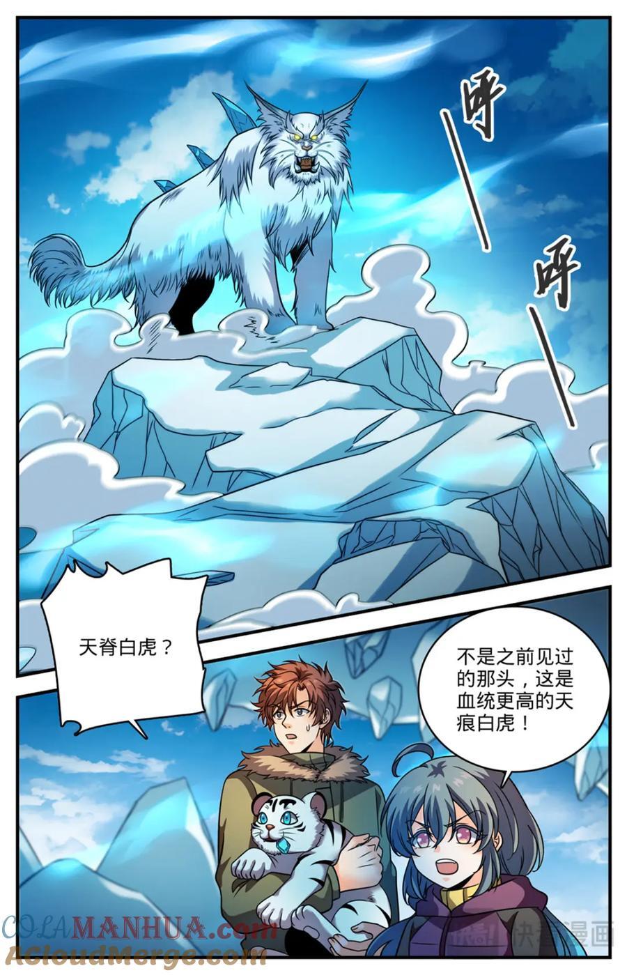 1078 天痕白虎9