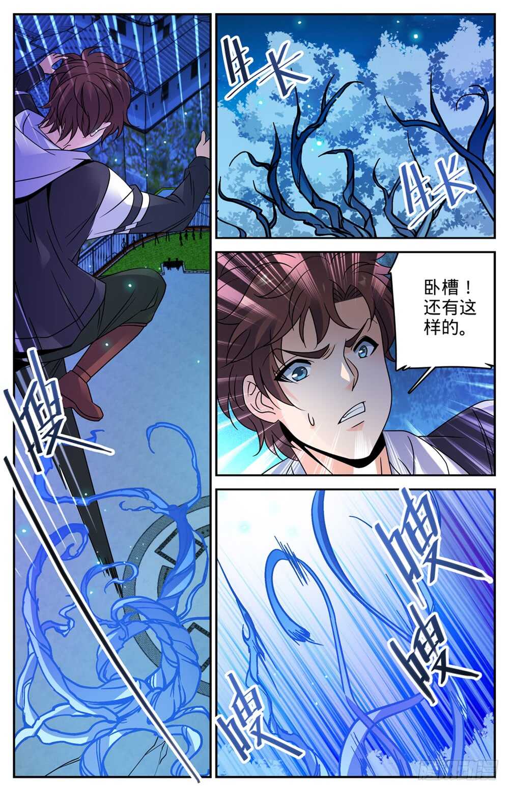 493 植体种子5