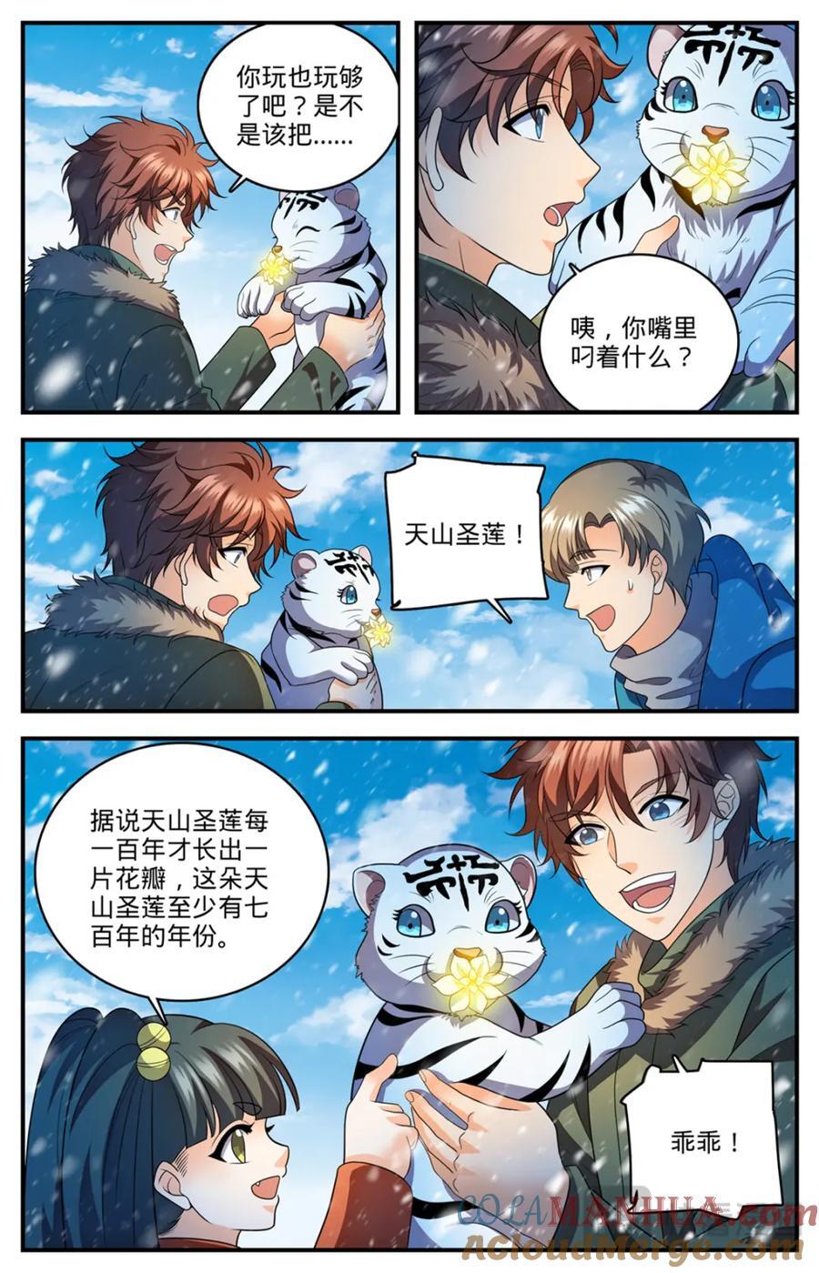 1088 七百年天山圣莲10