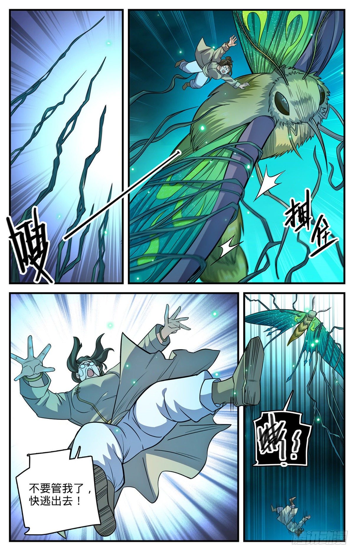 833 月蛾凰现身12