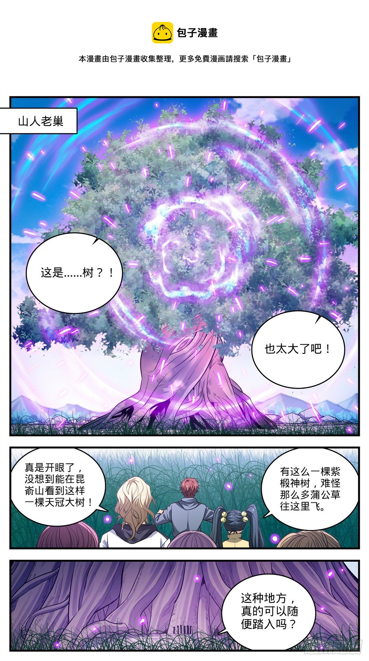 822 天冠紫椴树10