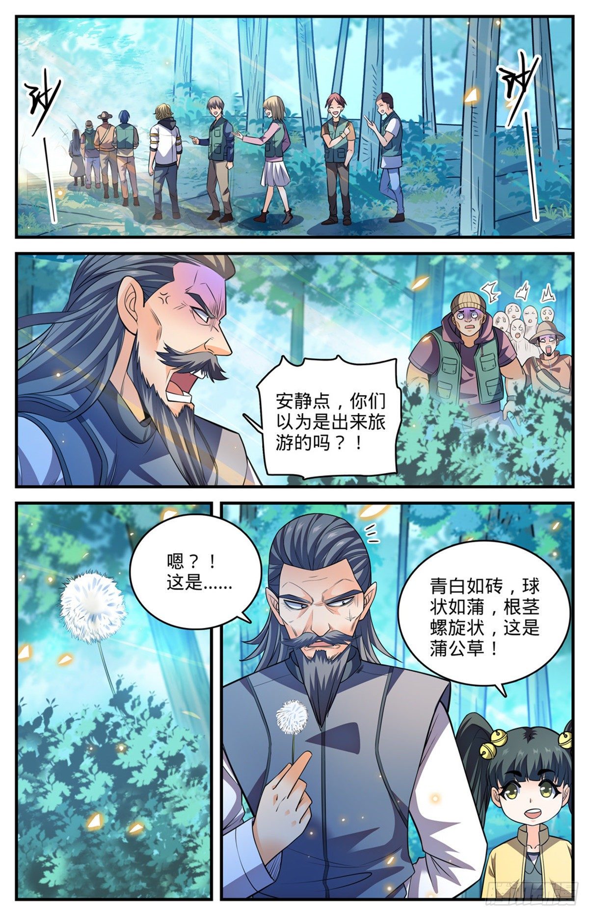 817 大紫椴树背后危机3
