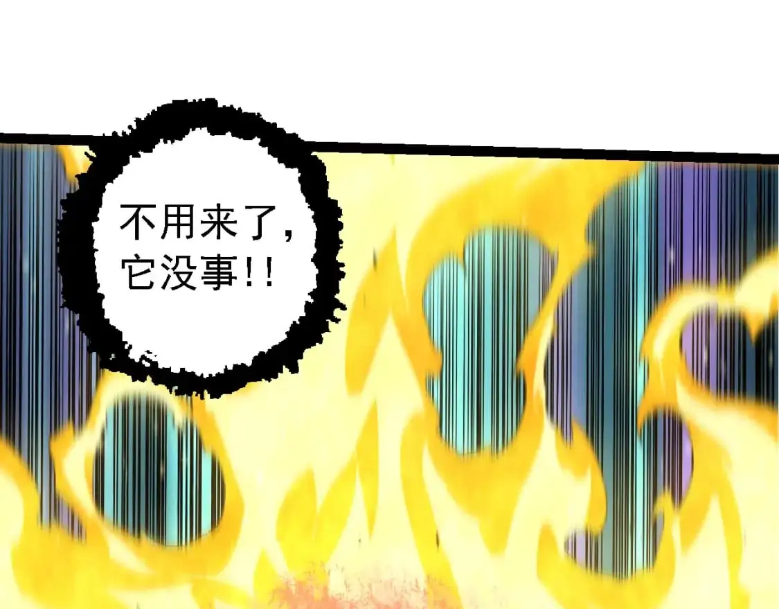第149话 闪光战虎14