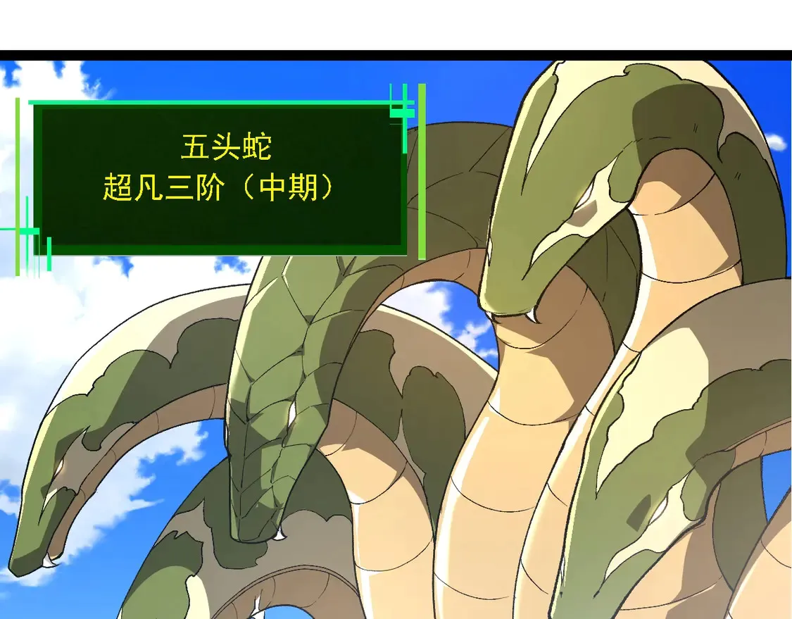 第194话 作战动员72