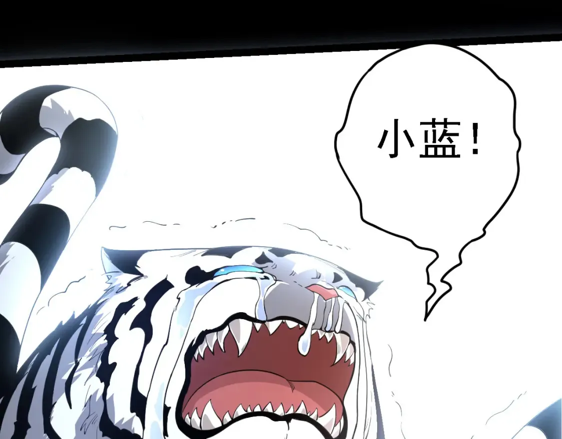 第172话 悲伤的白虎146
