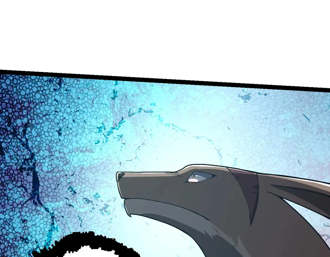 第204话 澳创vs黑暗24