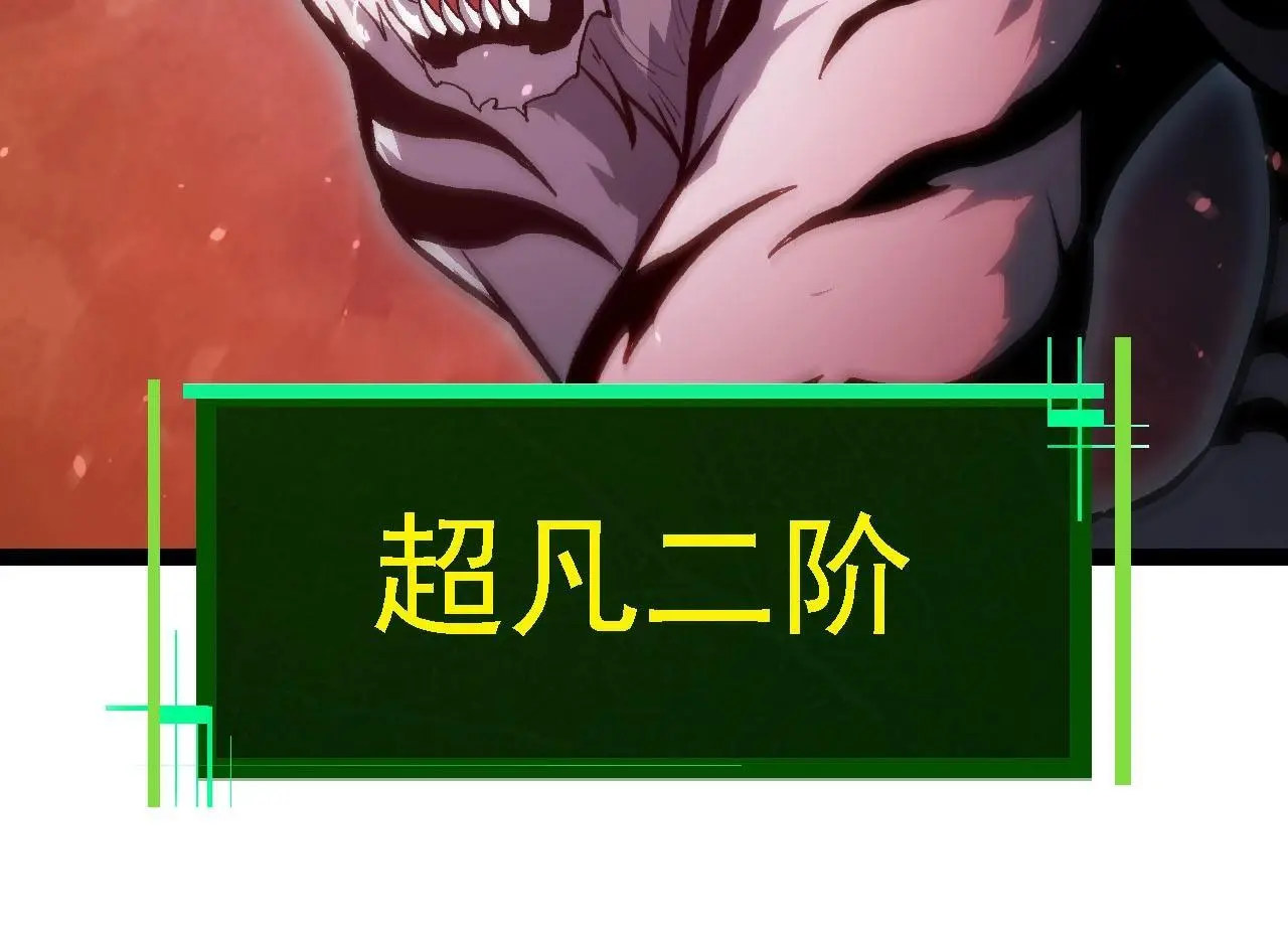第114话 准备战斗43