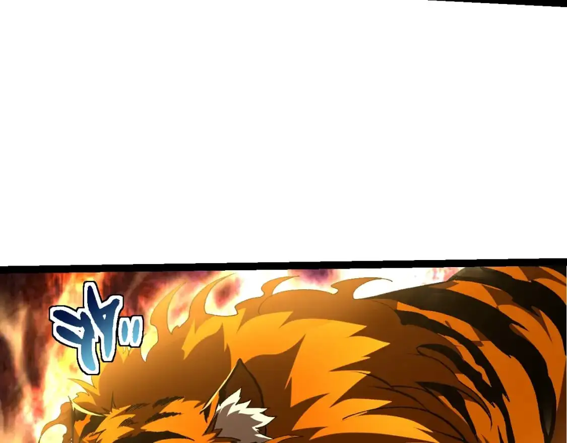 第149话 闪光战虎26