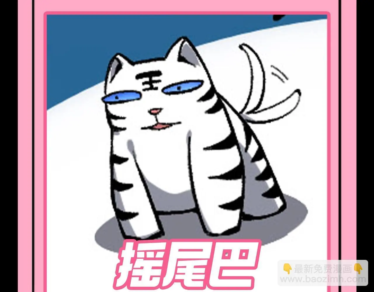 第7期 动物表情包来啦！！4