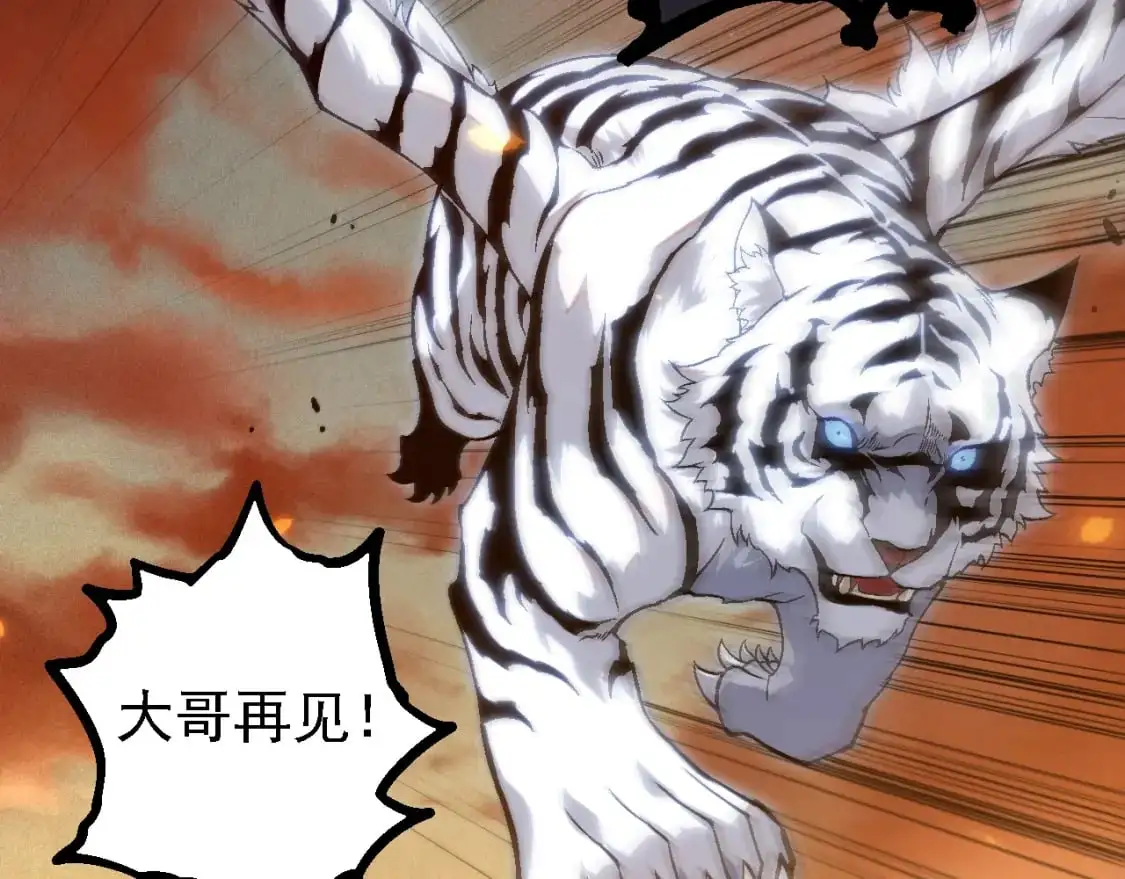 第150话 白虎出击57