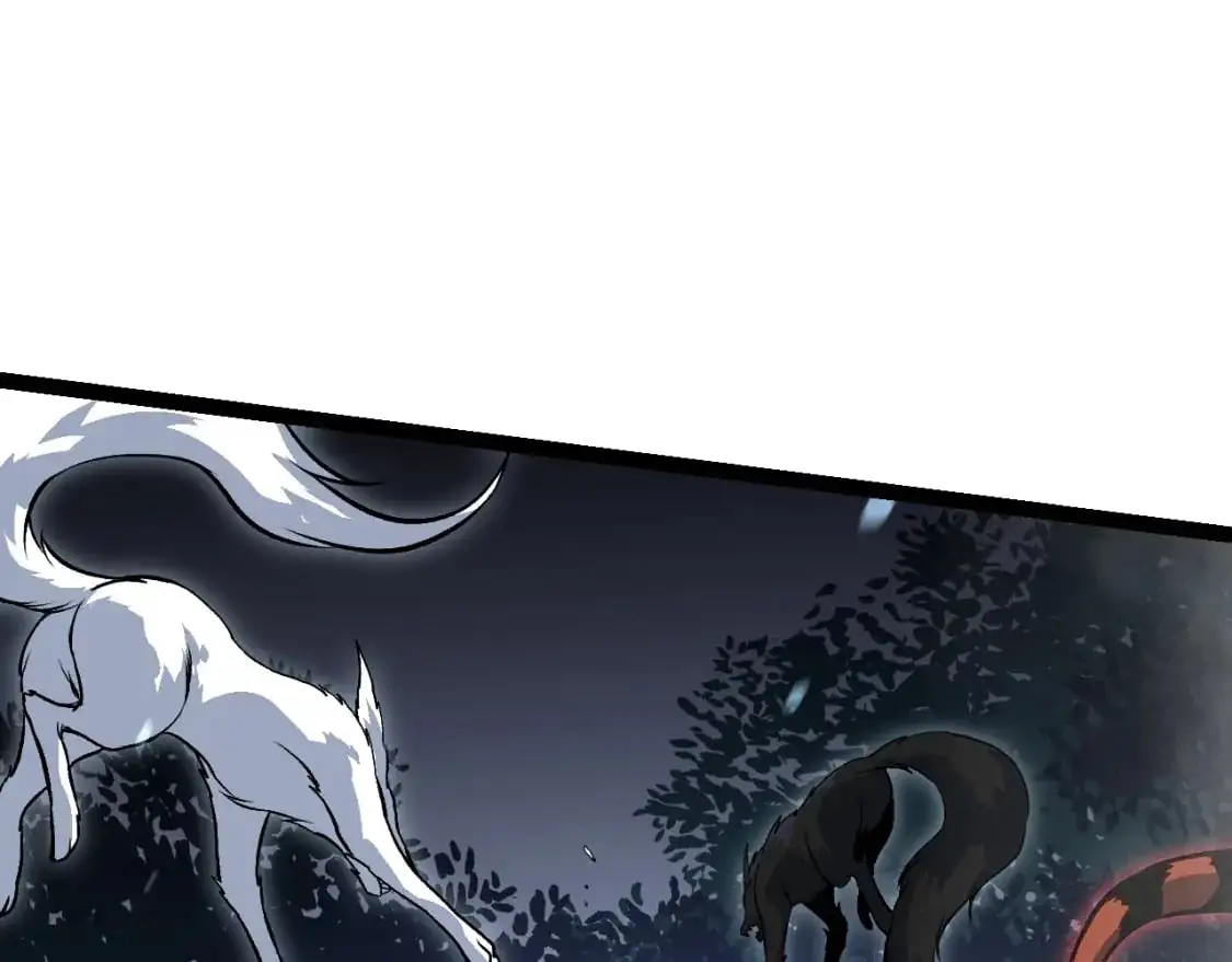 第150话 白虎出击137