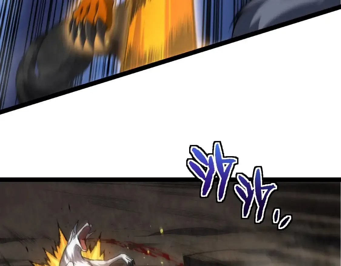 第149话 闪光战虎52