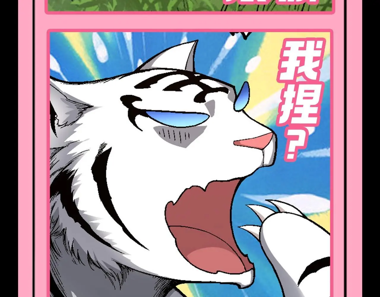 第7期 动物表情包来啦！！6