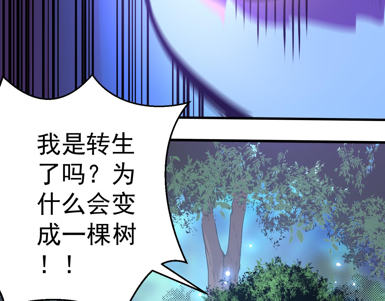 第1话 重生成树！42